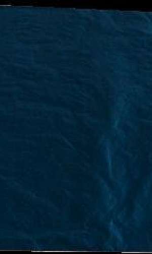 Envelope de segurança inviolável de plástico Envelope de segurança inviolável de plástico