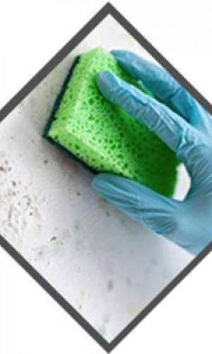 viscopon preço viscopon preço